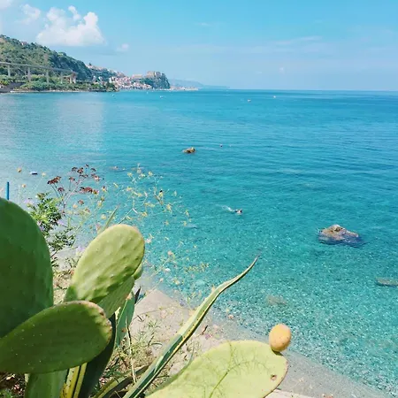 Tatil Evi La Casa Di Fra E Pit Gallico