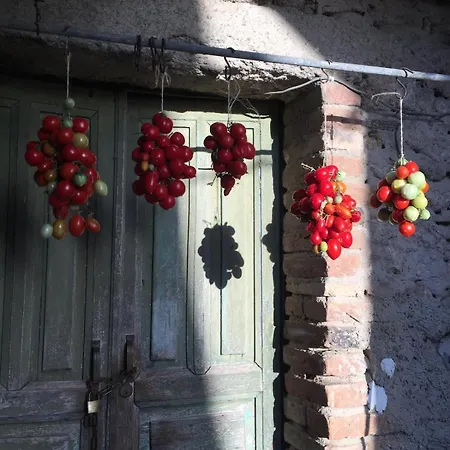 La Casa Di Fra E Pit Gallico