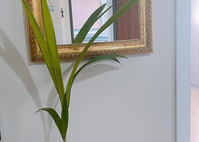 La Casa Di Fra E Pit * Gallico